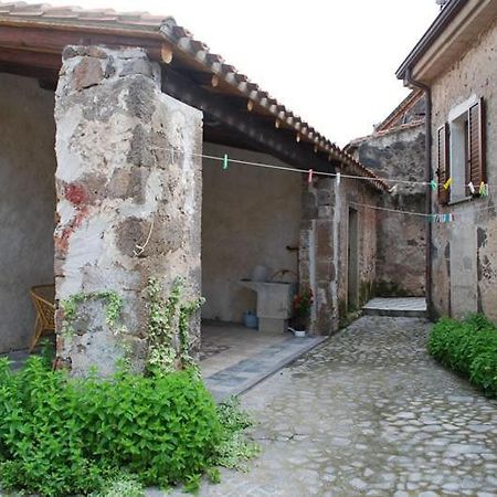皮萨努住宿加早餐旅馆 Narbolia 外观 照片